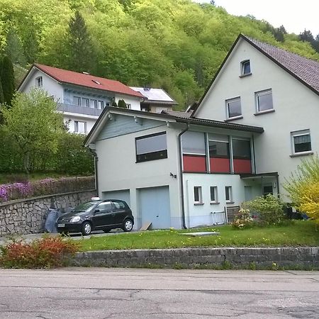 Haus Marion Appartement Todtnau Buitenkant foto