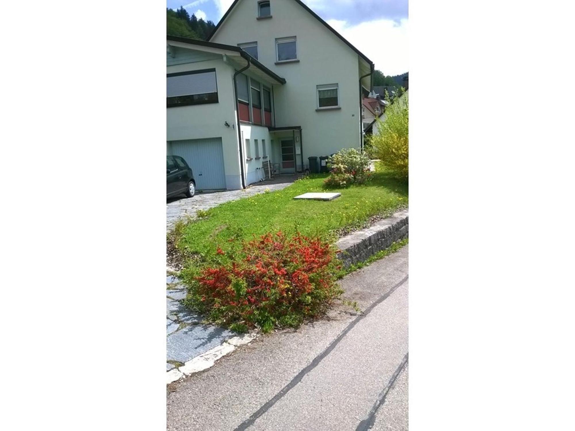 Haus Marion Appartement Todtnau Buitenkant foto