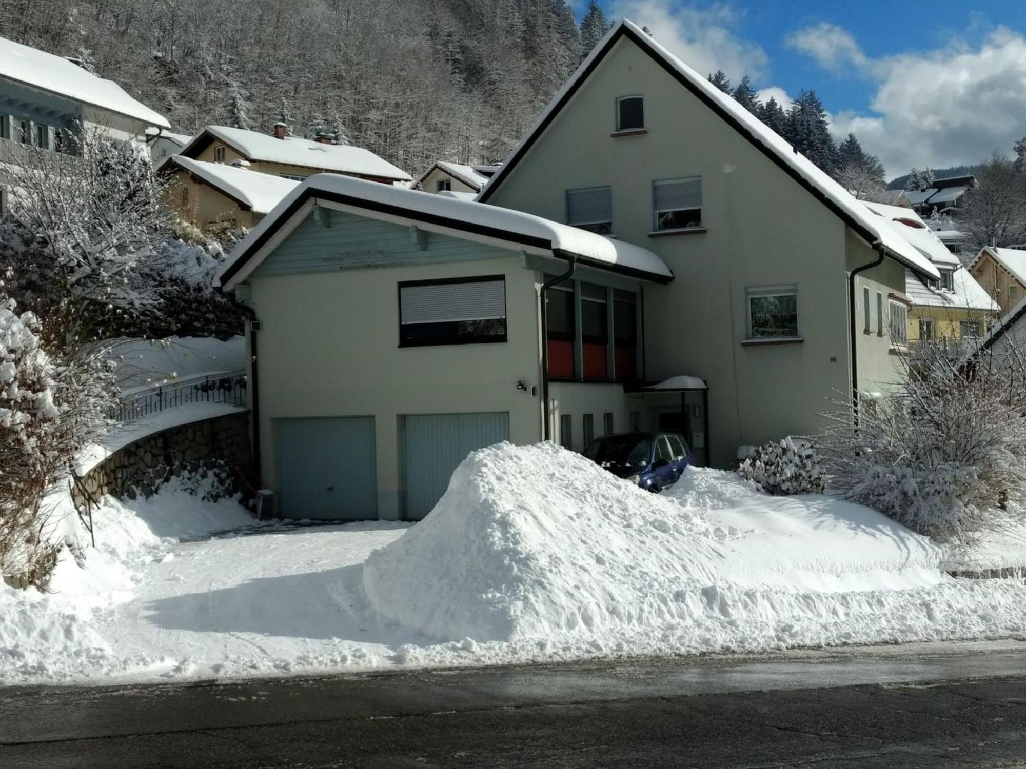 Haus Marion Appartement Todtnau Buitenkant foto